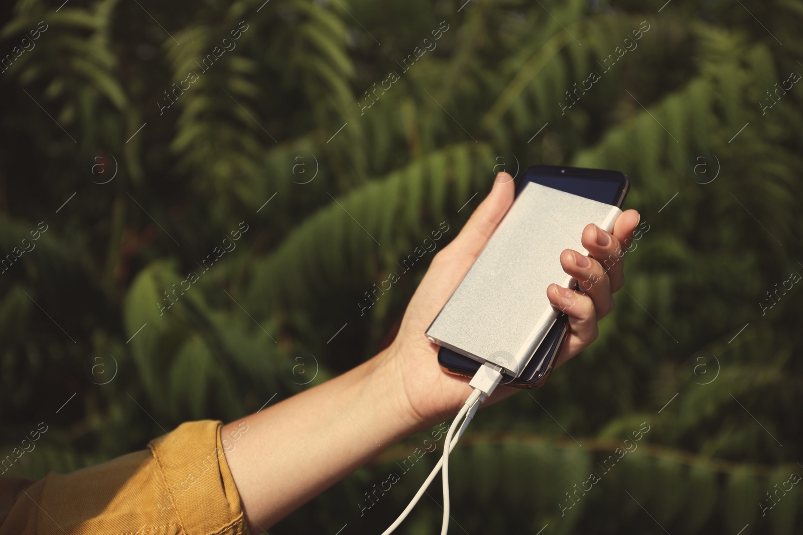 Photo of Woman charging smartphone with power bank in forest, closeup