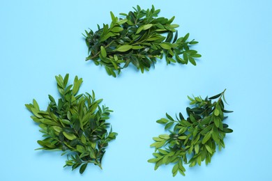 Photo of Recycling symbol made with twigs of green plant on light blue background, flat lay