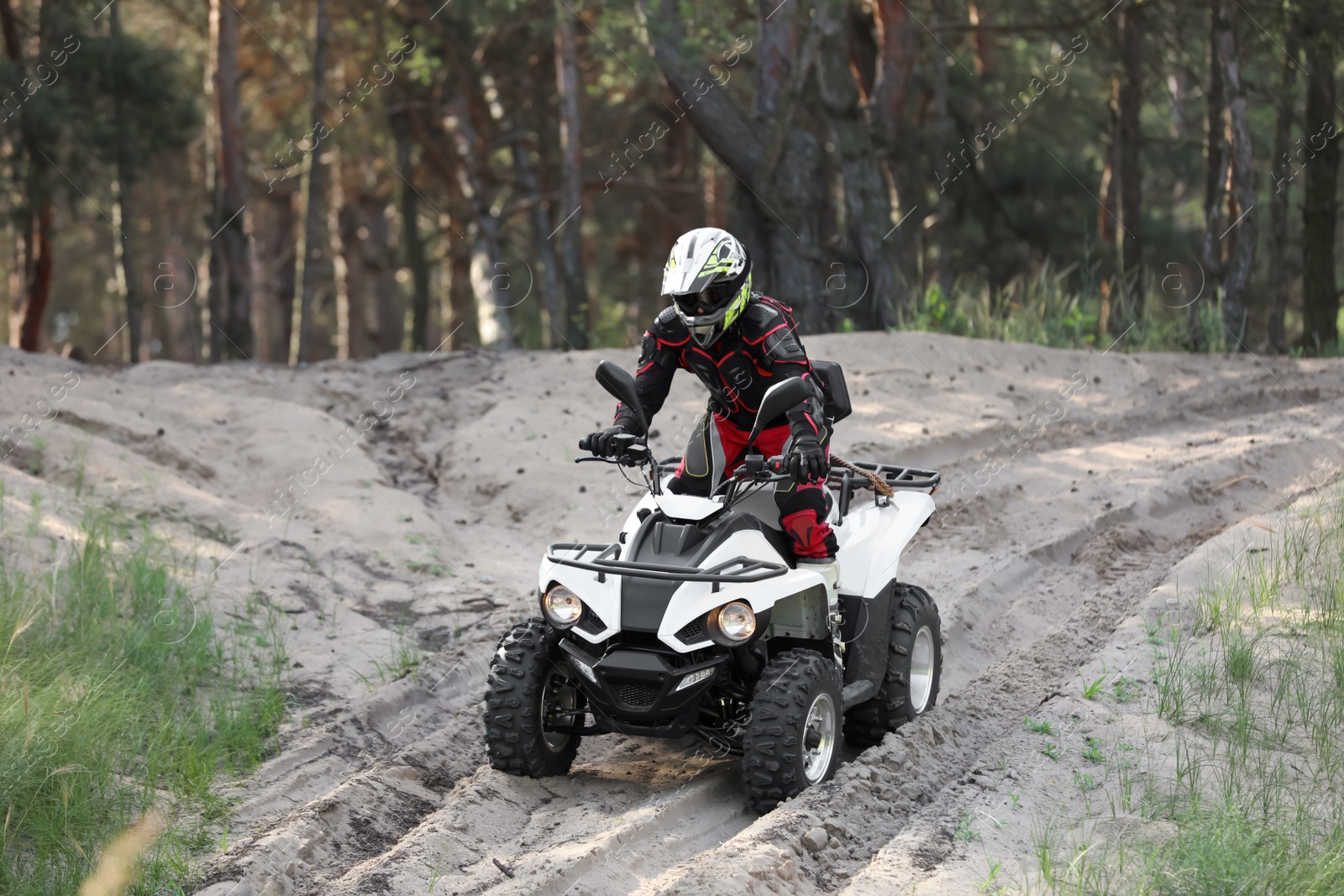 Photo of Man driving modern quad bike on sandy road near forest. Extreme sport