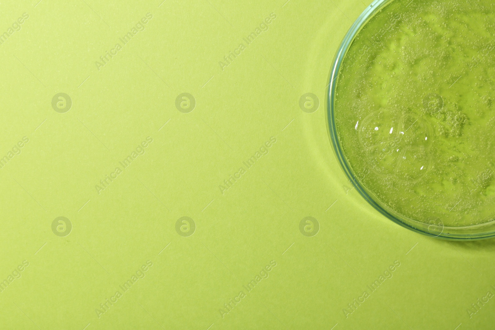 Photo of Petri dish with liquid sample on green background, top view. Space for text