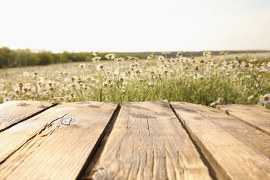 Photo of Empty wooden table in blooming chamomile field