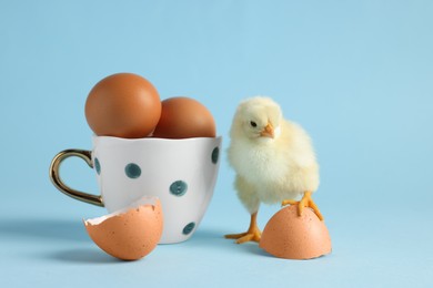 Photo of Cute chick, cup with eggs and pieces of shell on light blue background, closeup. Baby animal