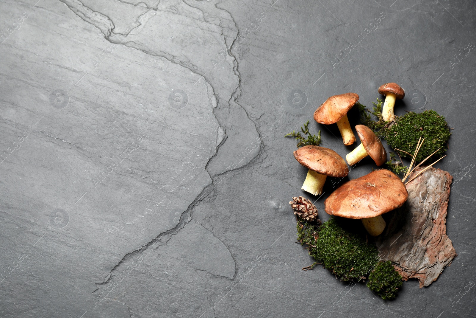 Photo of Flat lay composition with boletus mushrooms on grey background, space for text