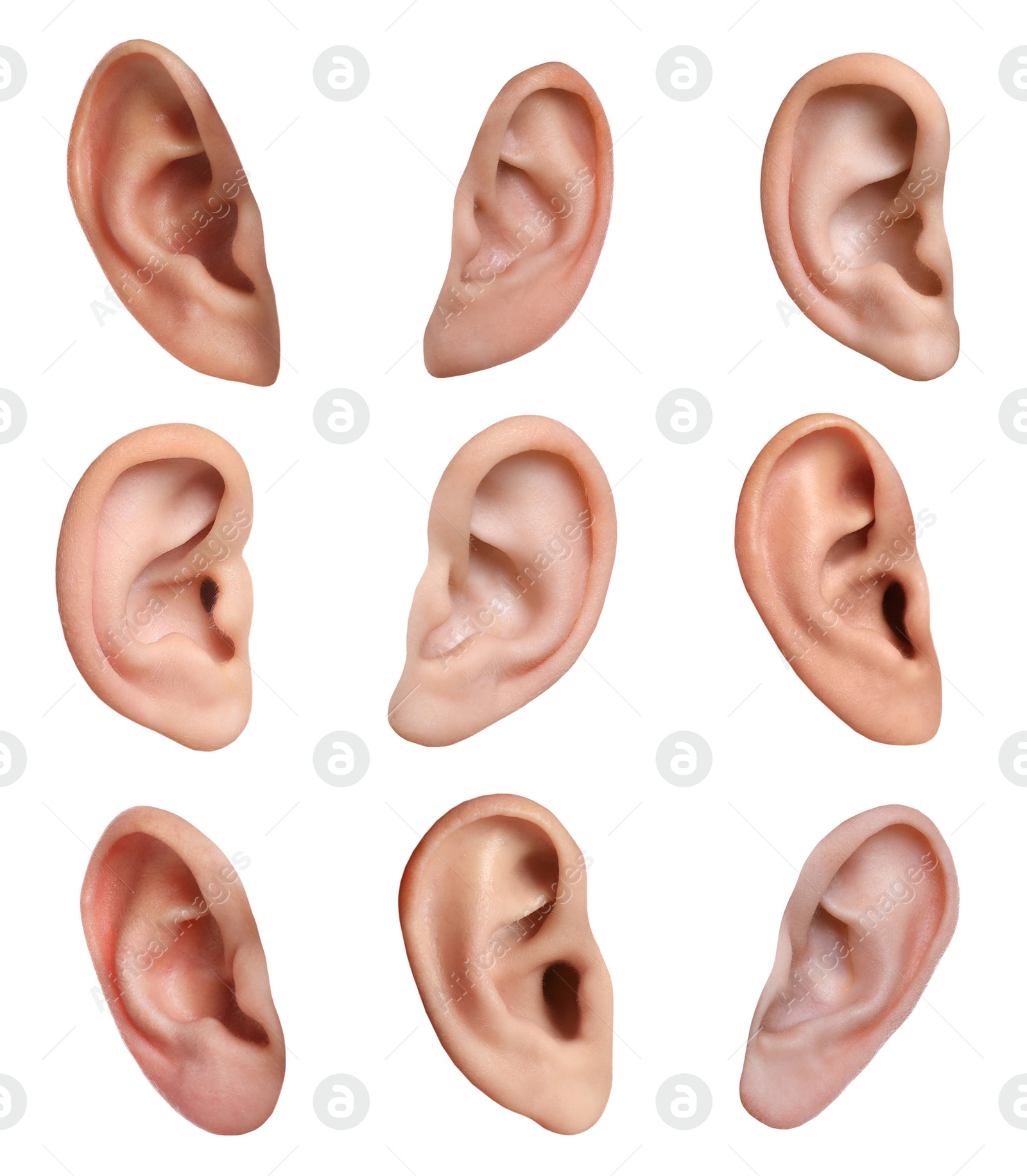 Image of Human ears on white background, collage. Organ of hearing and balance