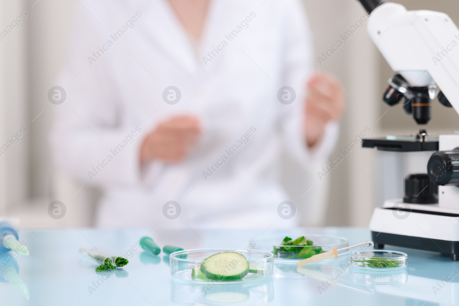 Photo of Quality control. Food inspector working in laboratory, focus on petri dishes with different products