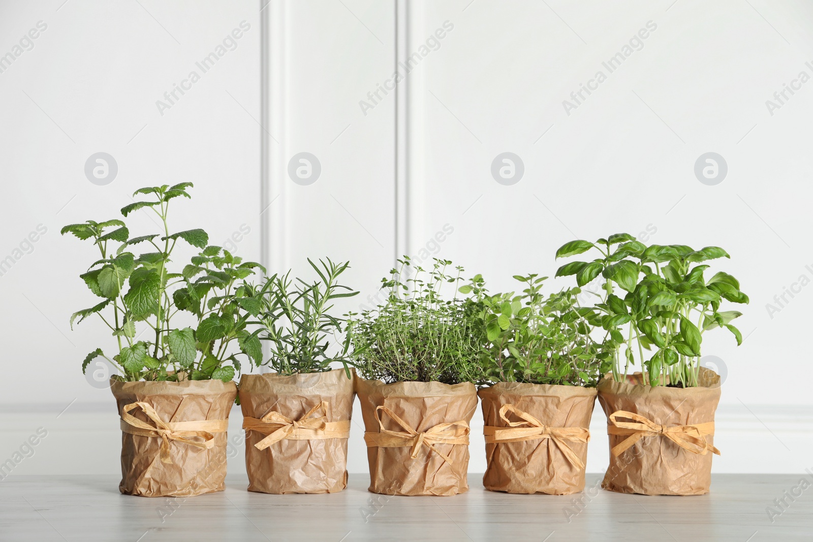 Photo of Different aromatic potted herbs on floor near white wall