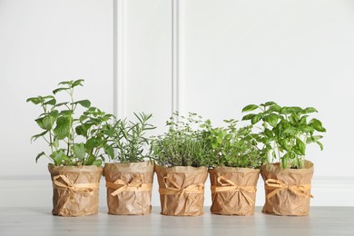 Different aromatic potted herbs on floor near white wall