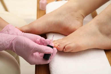 Professional pedicurist painting client`s toenails with polish in beauty salon, closeup