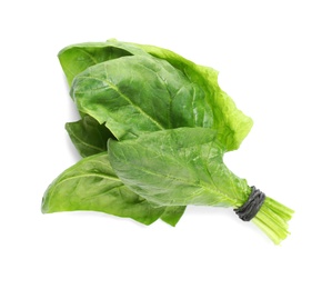 Bundle of fresh spinach isolated on white, top view