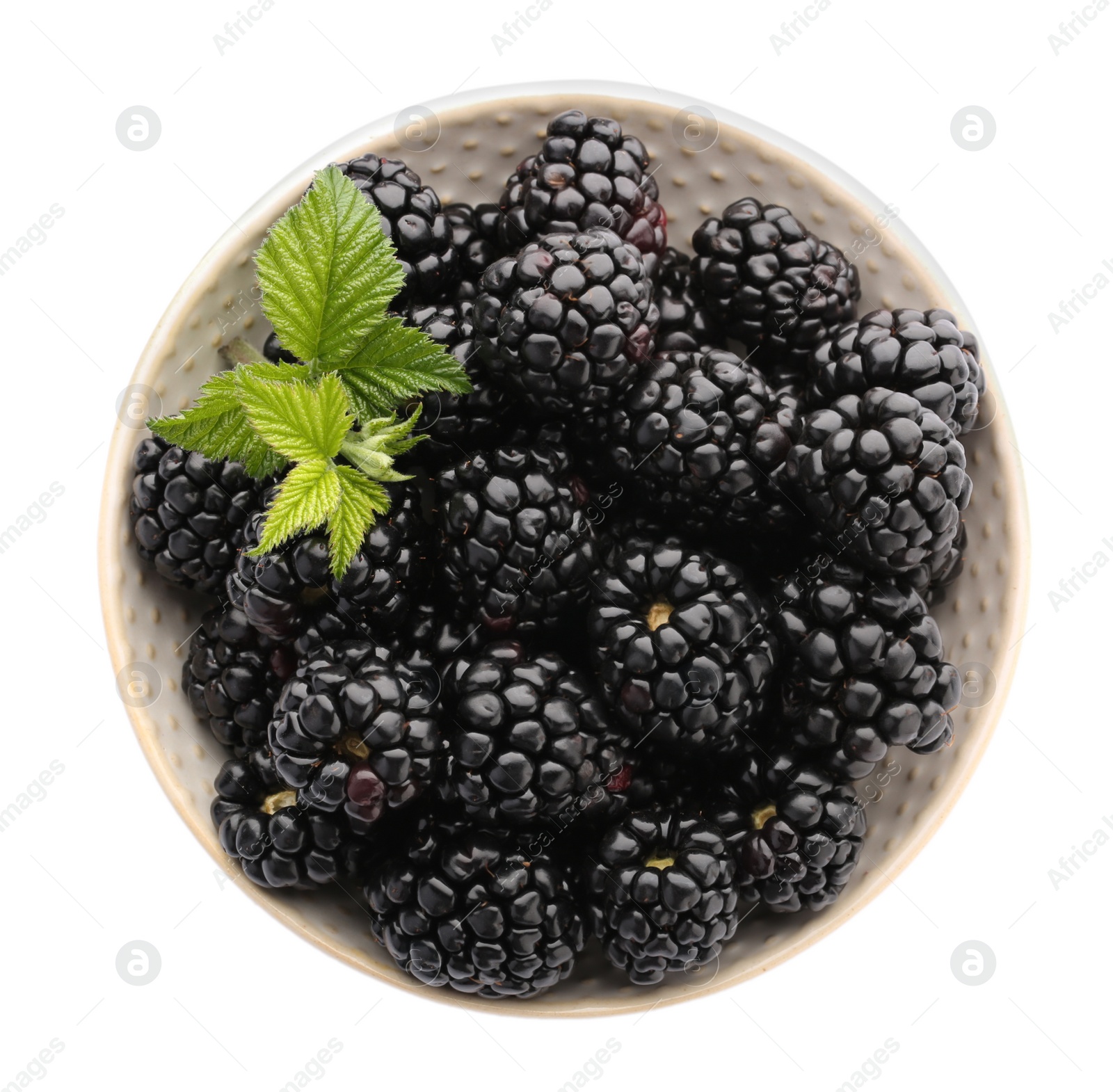 Photo of Tasty ripe blackberries in bowl isolated on white, top view