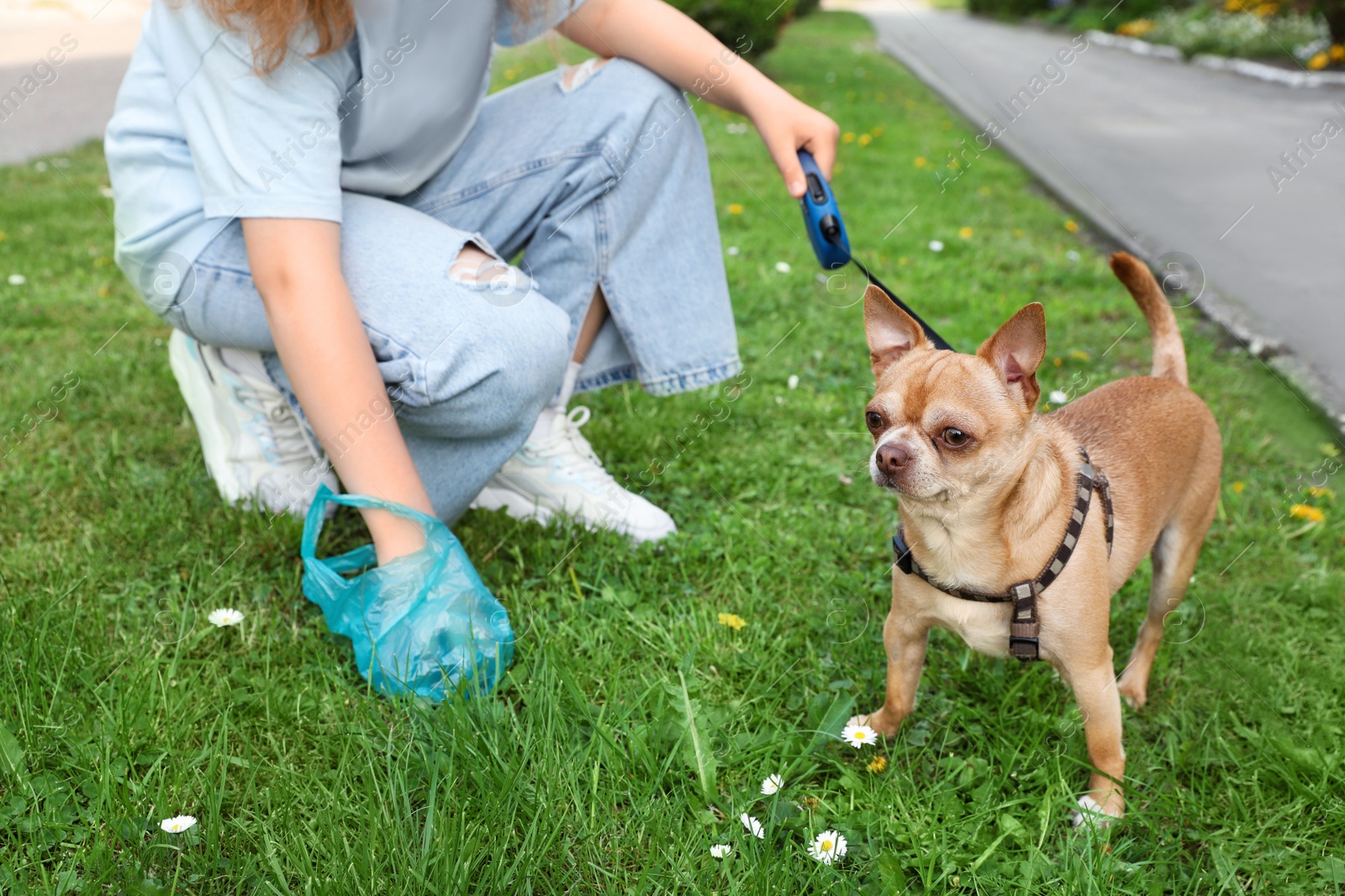 Photo of Woman picking up her dog's poop from green grass in park, closeup