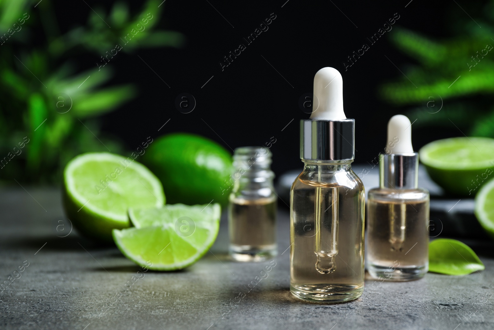 Photo of Lime essential oil and cut citrus fruits on grey table. Space for text