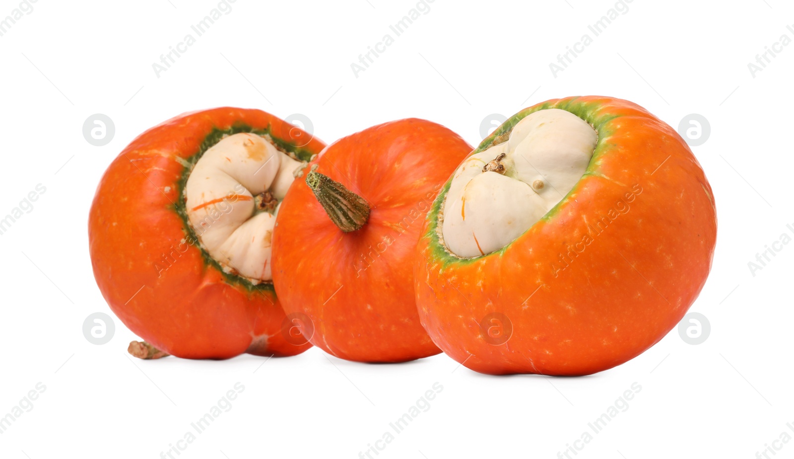 Photo of Different fresh ripe pumpkins isolated on white