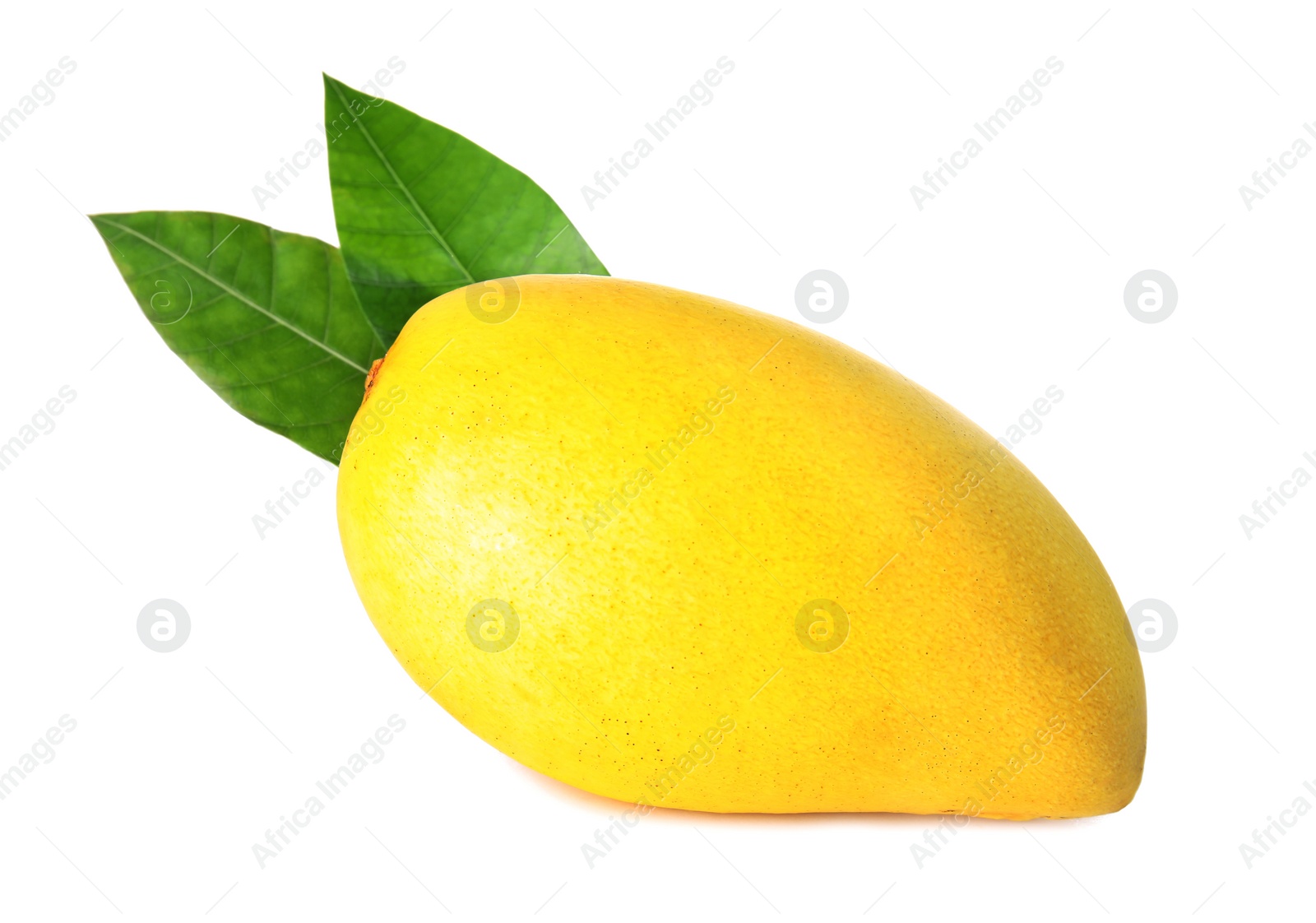 Photo of Fresh ripe mango with green leaves isolated on white