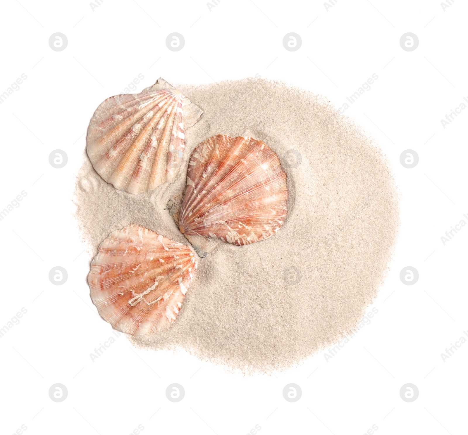 Photo of Pile of beach sand with sea shells isolated on white, top view