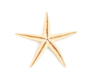 Photo of Beautiful starfish on white background, top view. Beach object