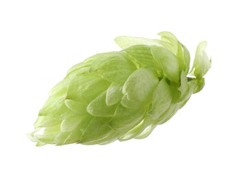 One fresh green hop isolated on white