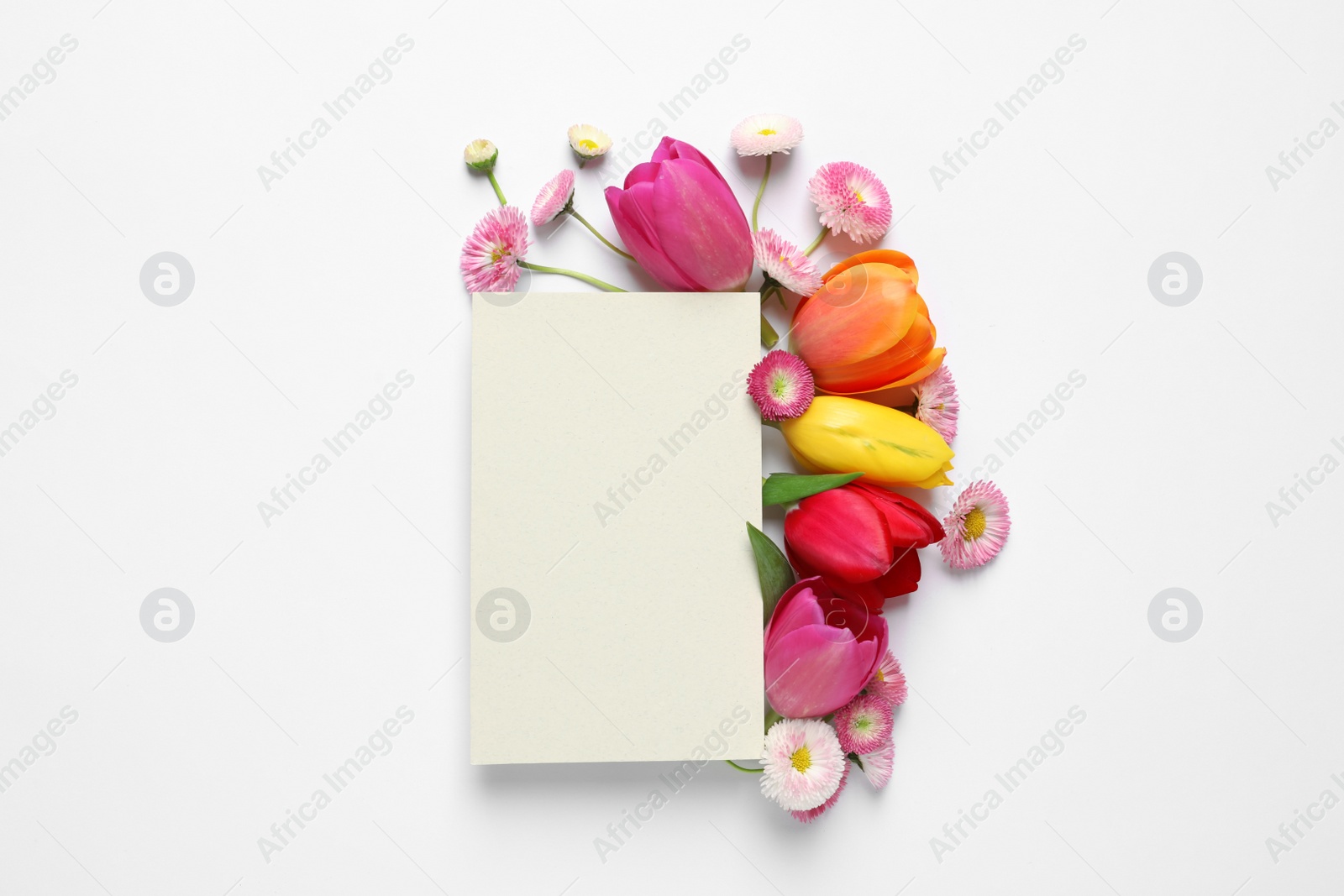 Photo of Beautiful composition with spring flowers and blank card on white background, top view. Space for text