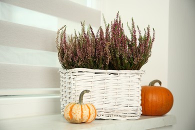 Photo of Beautiful heather flowers in basket and pumpkins on windowsill indoors