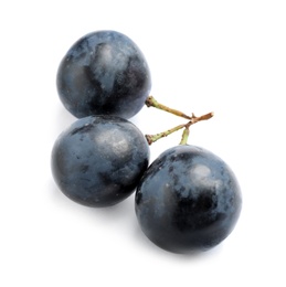 Fresh ripe juicy black grapes isolated on white