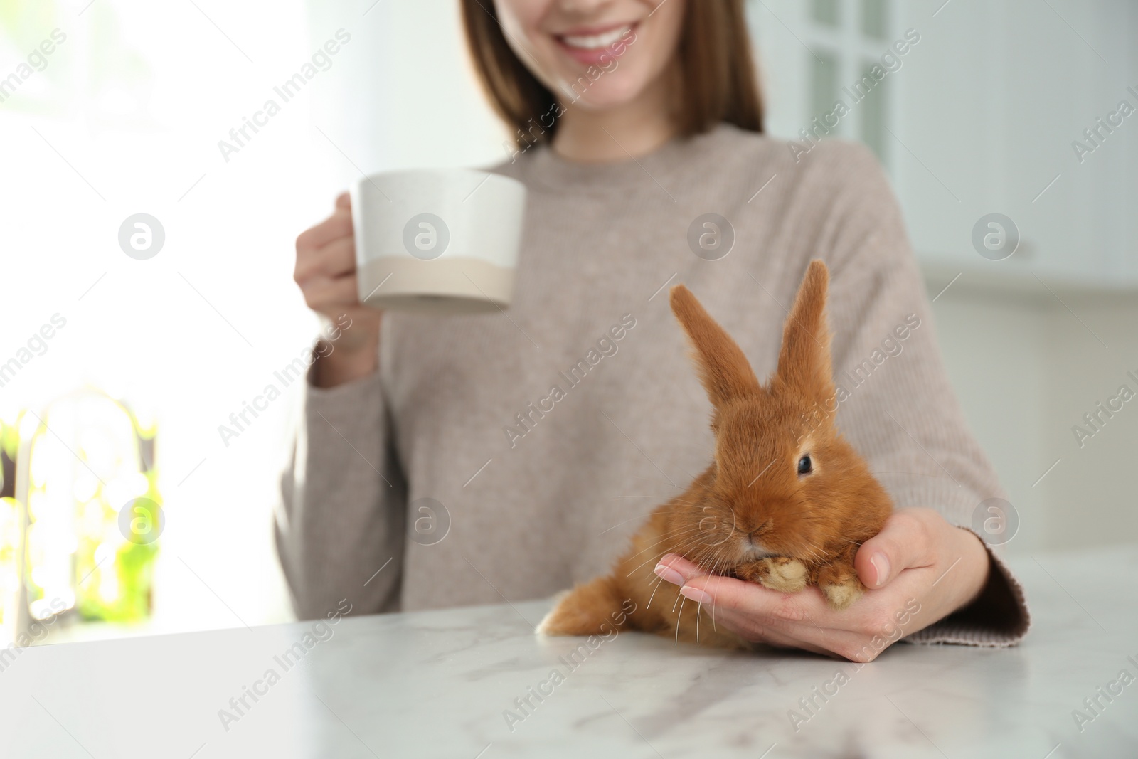 Photo of Young woman with cup of coffee and adorable rabbit at table indoors, closeup. Lovely pet