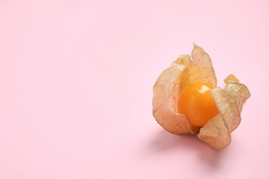 Photo of Ripe physalis fruit with dry husk on pink background. Space for text