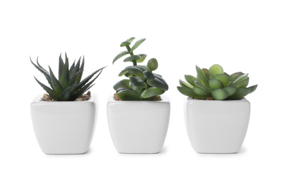 Photo of Beautiful artificial plants in flower pots isolated on white