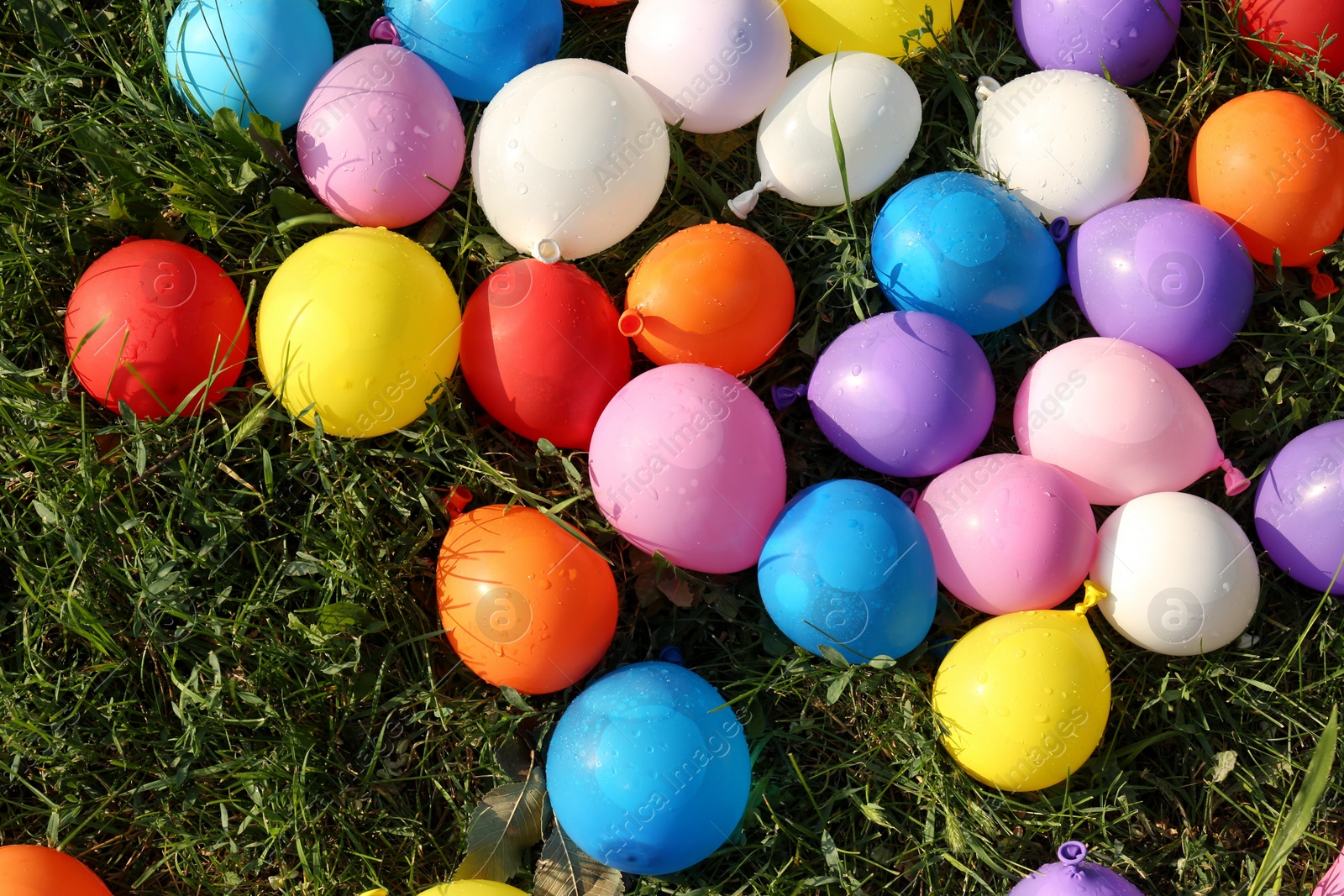 Photo of Lots of colorful water bombs on green grass outdoors, flat lay