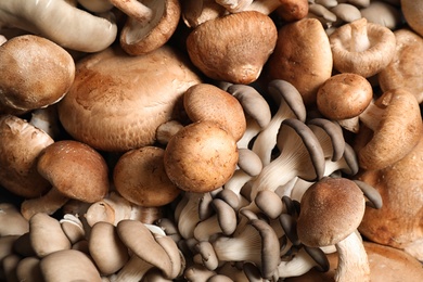 Photo of Different fresh wild mushrooms as background, closeup