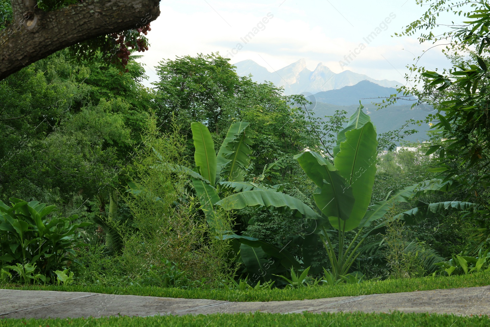 Photo of Beautiful view of park with green plants