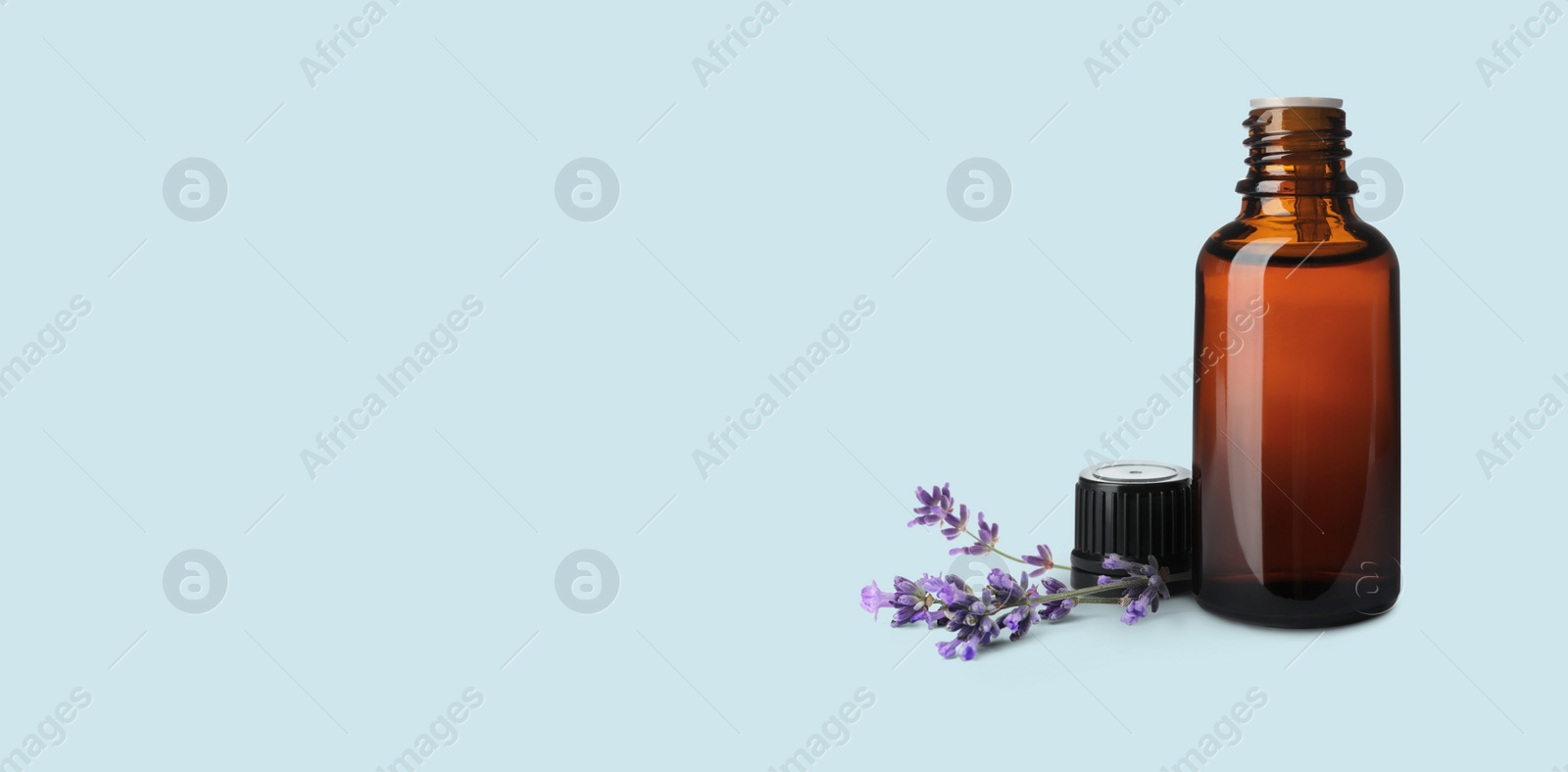 Image of Bottle of lavender essential oil and flowers on pale light blue background, space for text. Banner design