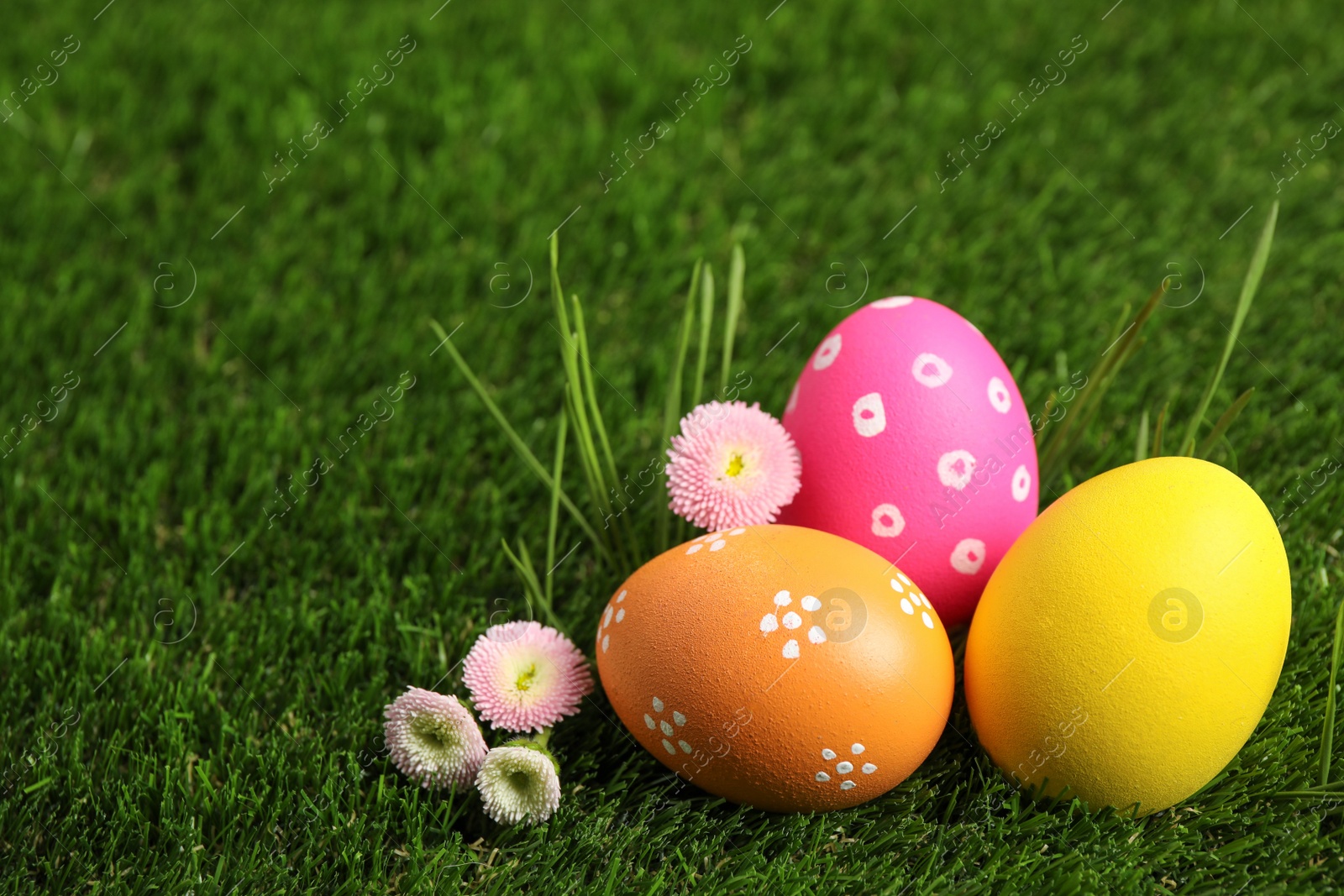 Photo of Colorful Easter eggs and daisy flowers on green grass. Space for text