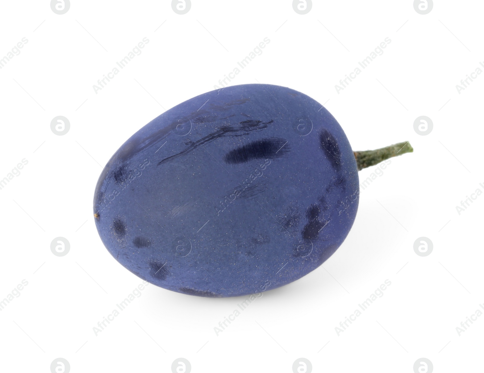 Photo of One ripe dark blue grape isolated on white