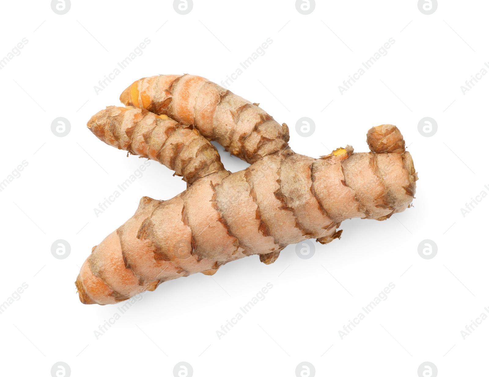 Photo of One fresh turmeric root isolated on white, top view