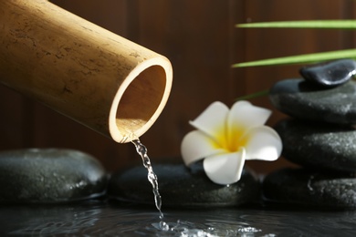 Photo of Traditional bamboo fountain with spa stones and flower, closeup. Space for text