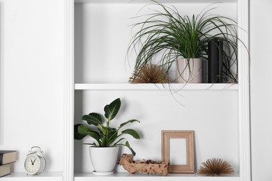 Photo of White shelving unit with houseplants and different decor elements in room. Interior design