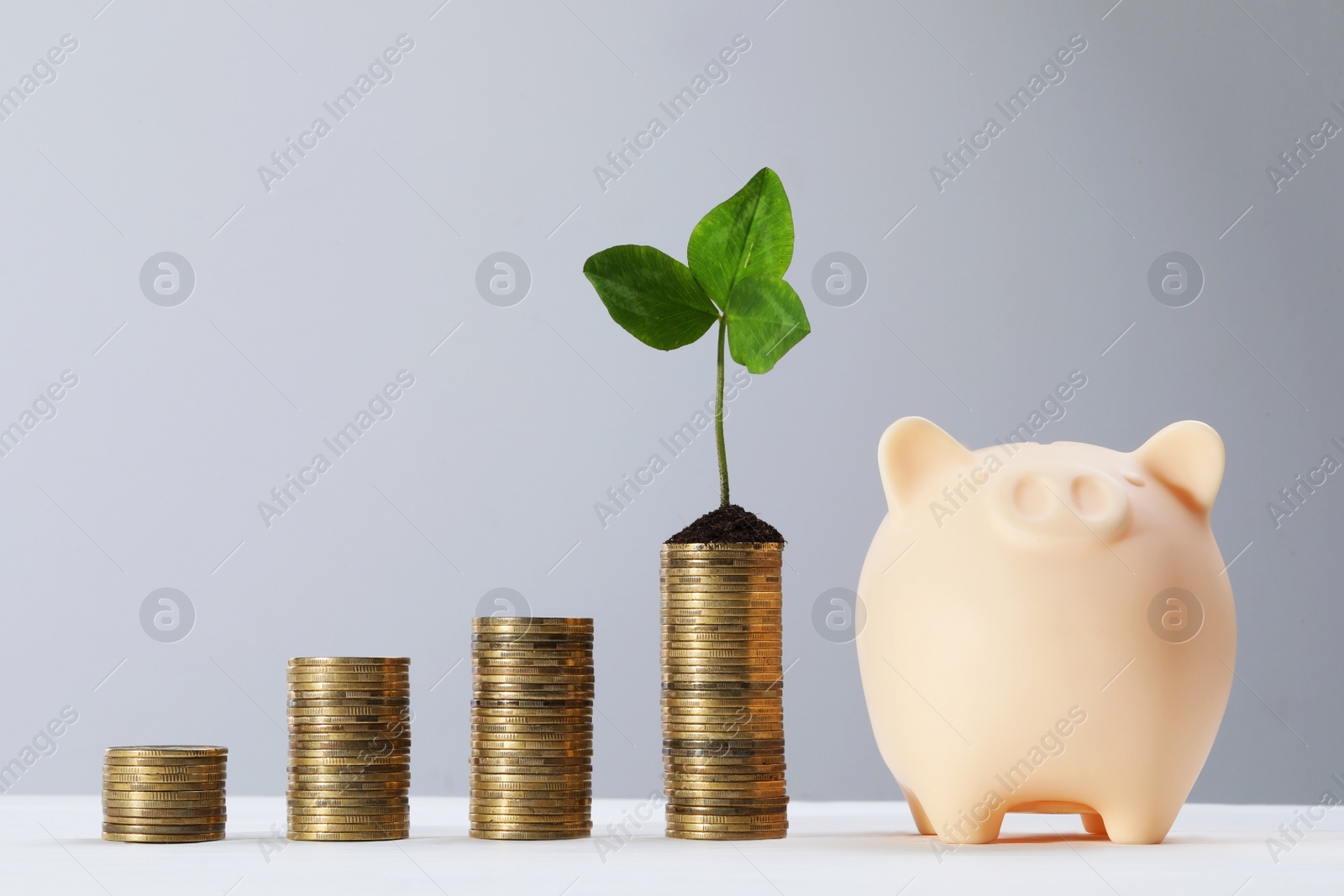 Photo of Stacks of coins with green sprout and piggy bank on white table against light grey background. Investment concept