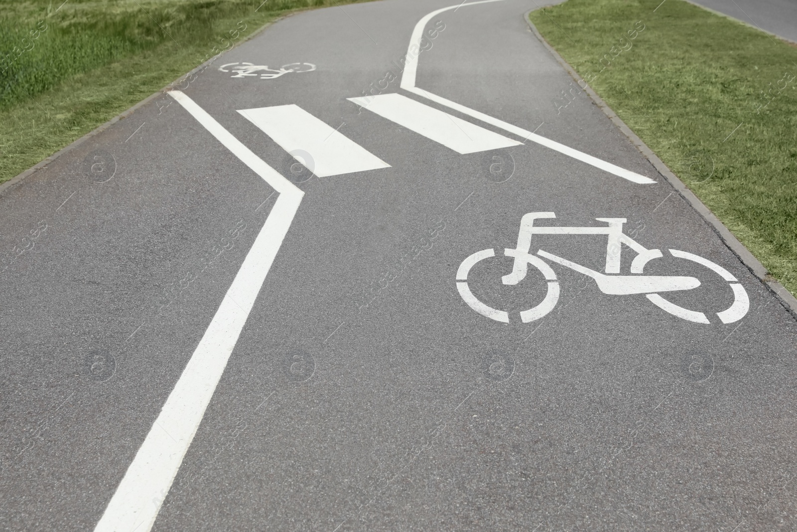 Photo of Bicycle lane with white sign painted on asphalt near sidewalk