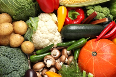 Different fresh vegetables as background, closeup view