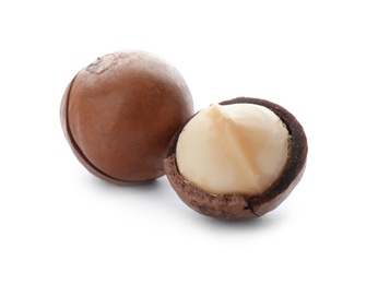 Photo of Two organic Macadamia nuts on white background