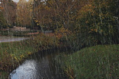 Image of Beautiful park with autumn trees and river on rainy day