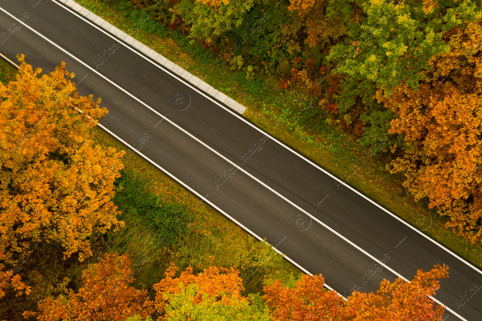 Image of Aerial view of road going through beautiful autumn forest