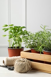 Photo of Different aromatic potted herbs, treads, and scissors on white wooden table