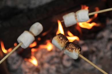 Photo of Delicious puffy marshmallows roasting over bonfire, closeup. Space for text