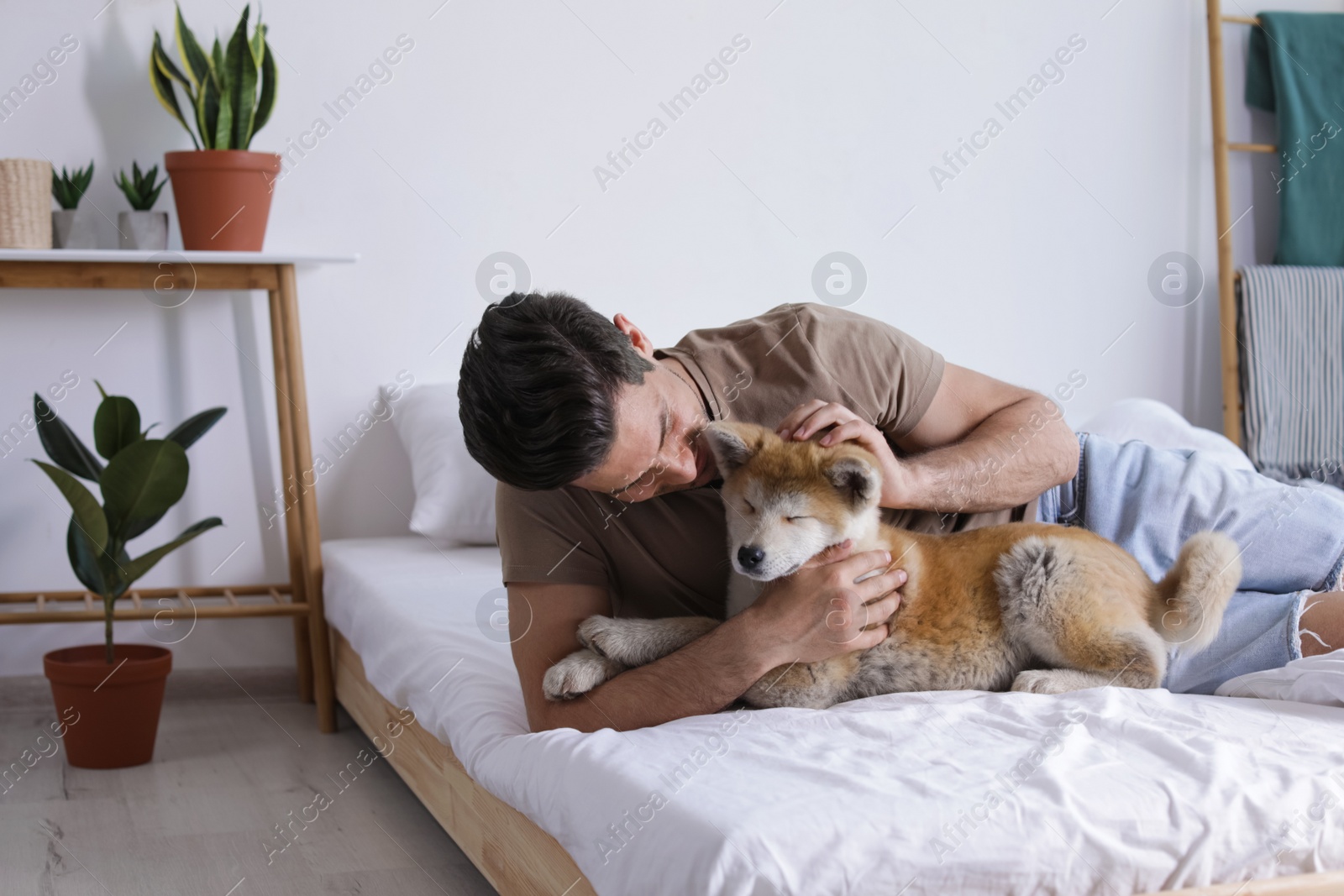 Photo of Man and Akita Inu dog in bedroom decorated with houseplants