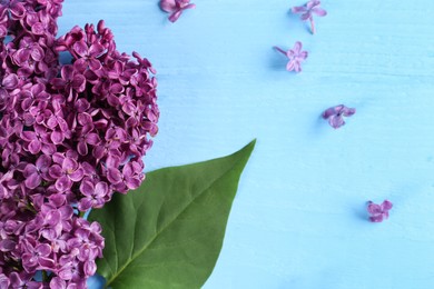 Photo of Beautiful lilac flowers on light blue wooden table, flat lay