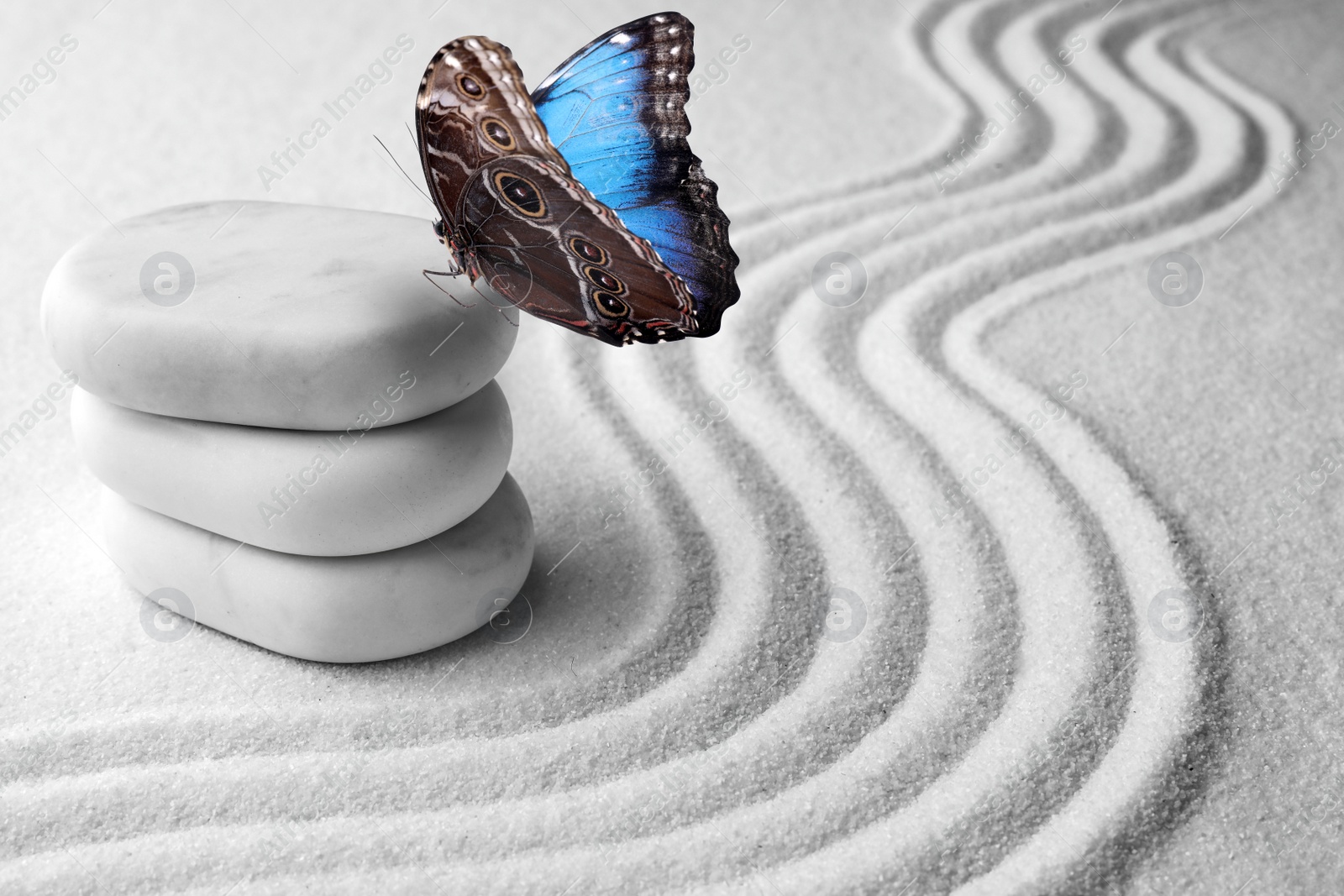 Image of Beautiful butterfly and stones on white sand with pattern. Zen concept