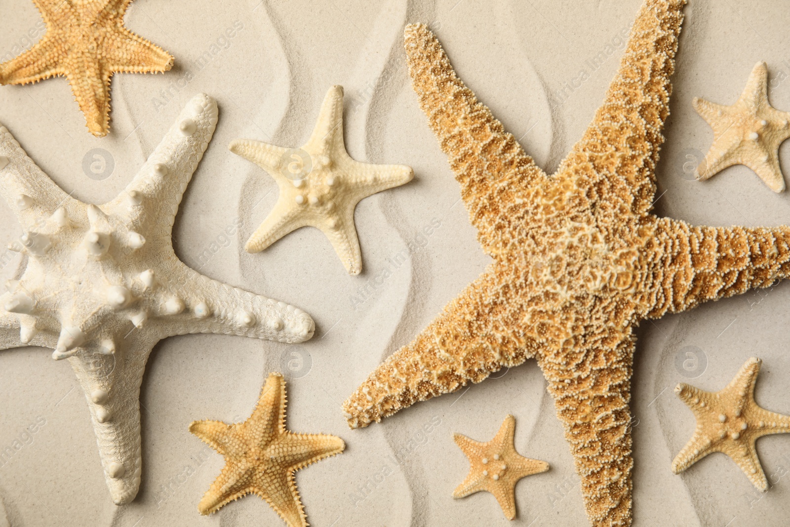 Photo of Beautiful sea stars on sand, flat lay