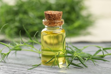 Photo of Bottle of essential oil and fresh tarragon leaves on grey wooden table