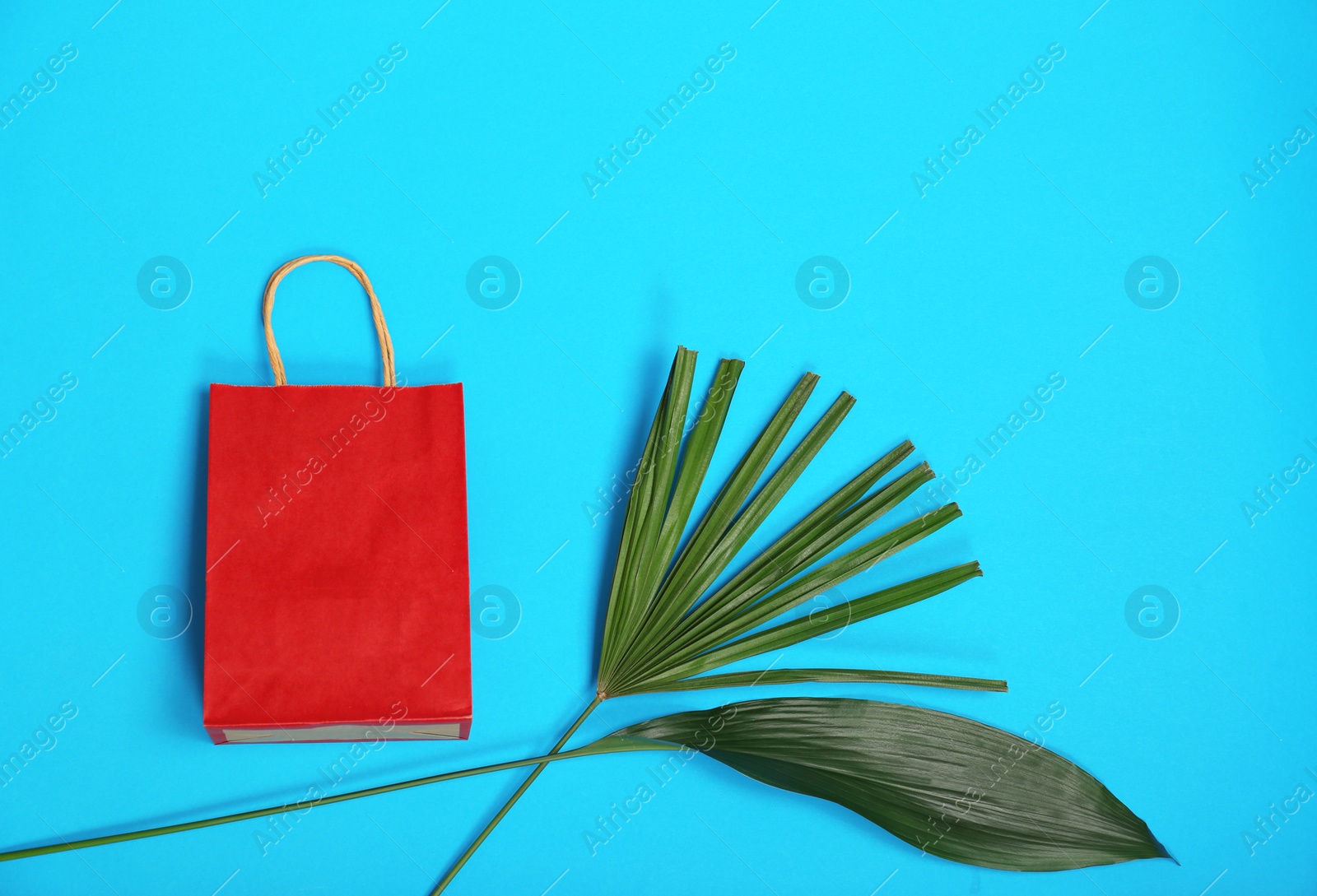 Photo of Stylish flat lay composition with shopping bag and tropical leaves on color background